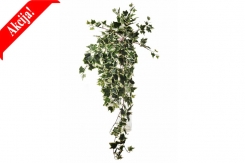 002 veštačke lozice